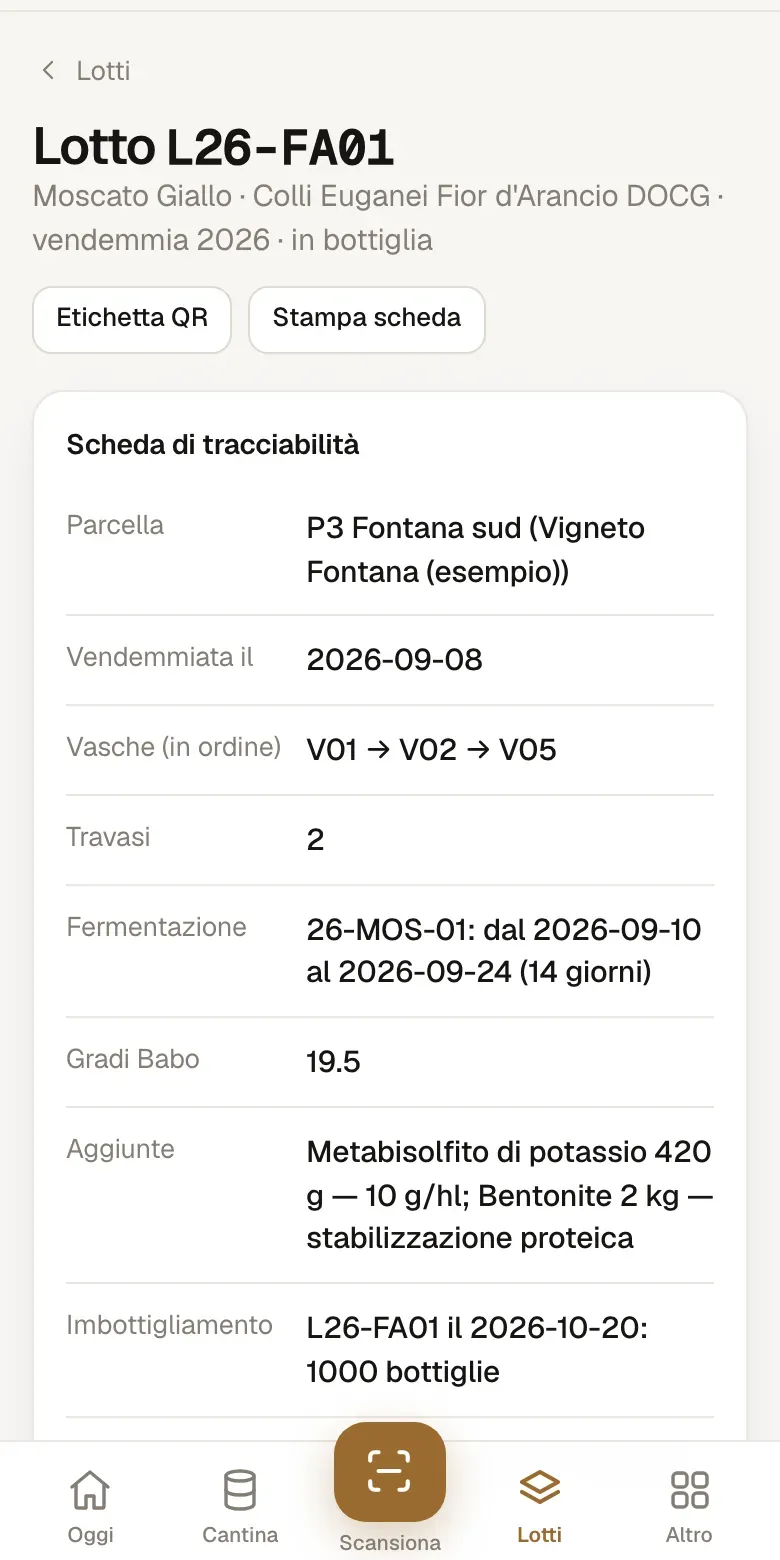 Scheda di tracciabilità del lotto, dati di esempio