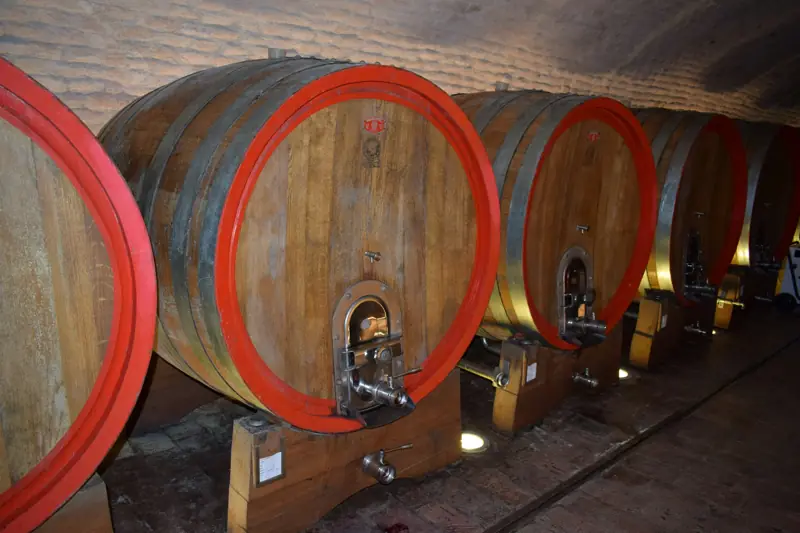 Botti grandi in cantina